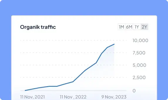 Increase in Organic Traffic