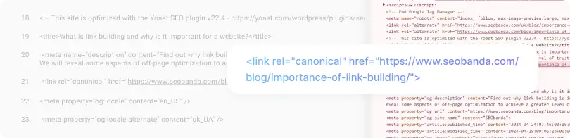 add-canonical-tag